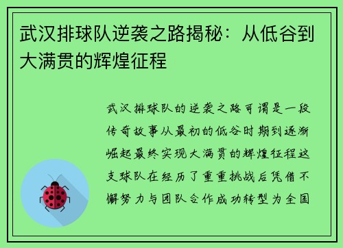 武汉排球队逆袭之路揭秘：从低谷到大满贯的辉煌征程